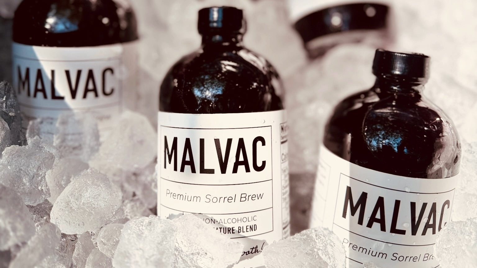 MALVAC Premium Sorrel Brew bottles on a bed of ice.
